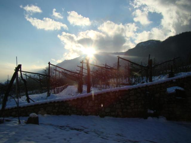 Agritur Maso Spezial Vila Villa Lagarina Exterior foto