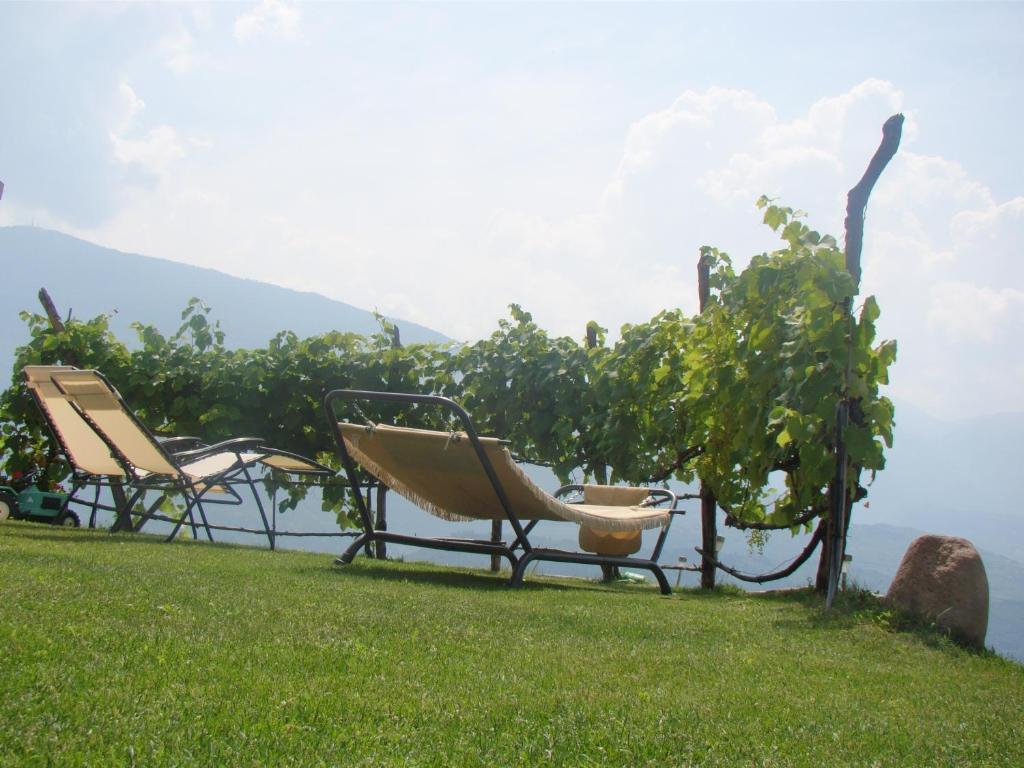 Agritur Maso Spezial Vila Villa Lagarina Exterior foto