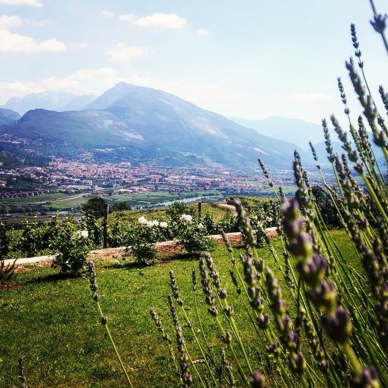 Agritur Maso Spezial Vila Villa Lagarina Exterior foto